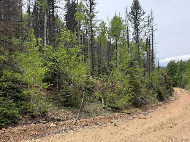 Lot 6795 Starkweather Road, Fort Garland, CO 81133