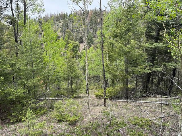 Lot 6795 Starkweather Road, Fort Garland, CO 81133