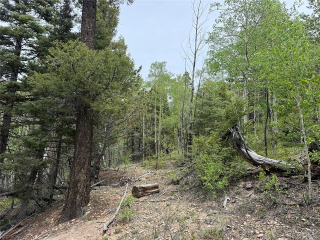 Lot 6795 Starkweather Road, Fort Garland, CO 81133