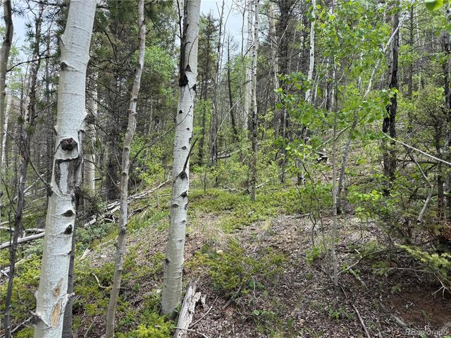 Lot 6795 Starkweather Road, Fort Garland, CO 81133