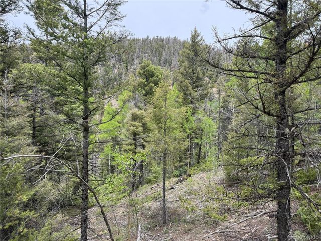Lot 6795 Starkweather Road, Fort Garland, CO 81133