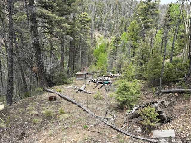 Lot 6795 Starkweather Road, Fort Garland, CO 81133