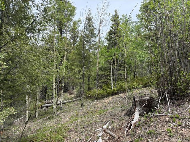 Lot 6795 Starkweather Road, Fort Garland, CO 81133