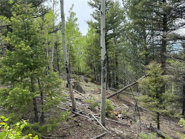 Lot 6795 Starkweather Road, Fort Garland, CO 81133