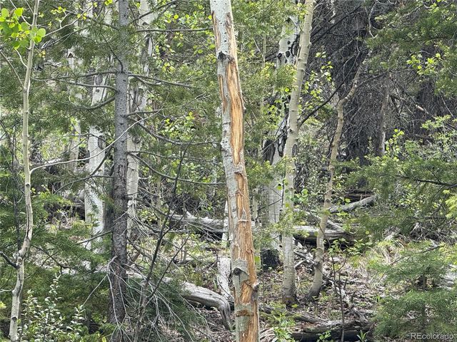 Lot 6795 Starkweather Road, Fort Garland, CO 81133