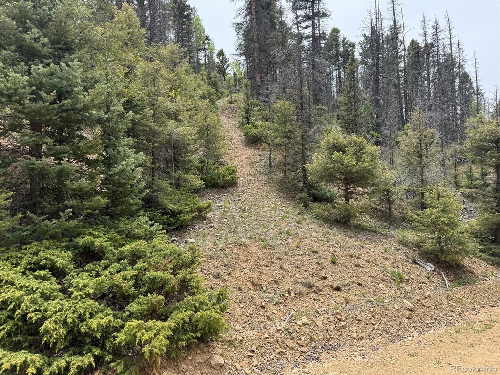 Lot 6795 Starkweather Road, Fort Garland, CO 81133