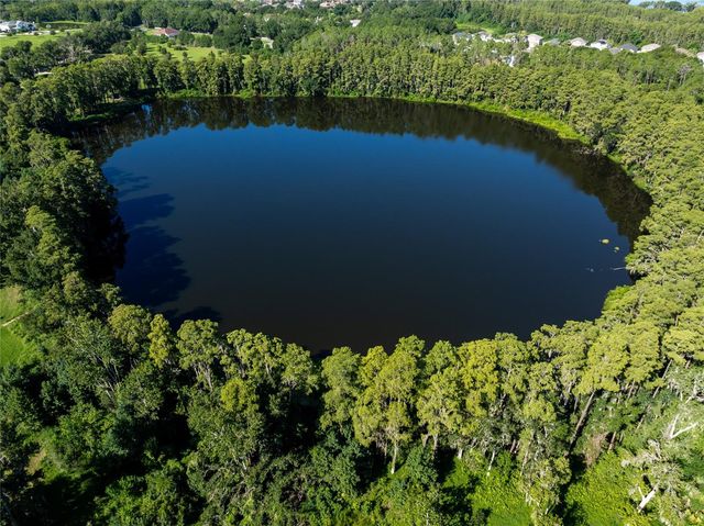 5135 COLLIER PARKWAY, Land O Lakes, FL 34639