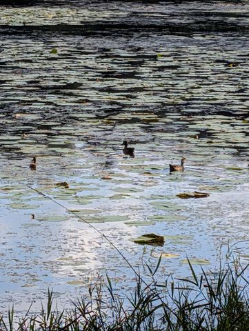 86 Old Wildwood Road, Mahtomedi, MN 55115