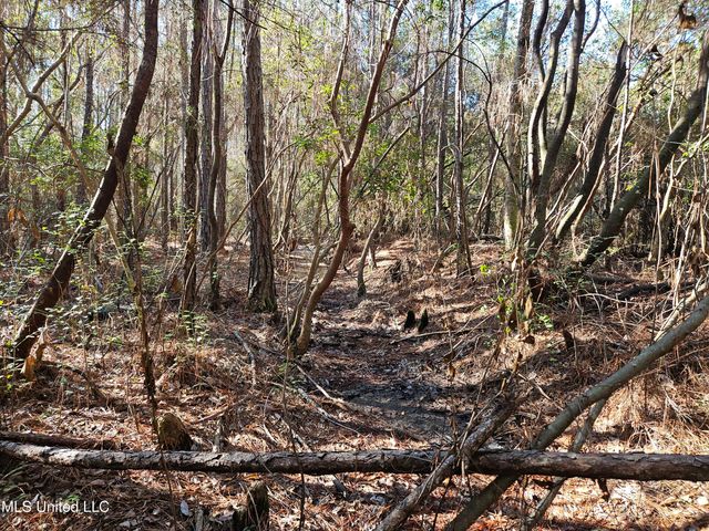 Nhn Canal Road, Gulfport, MS 39503