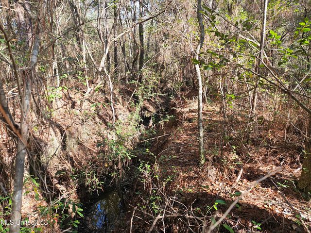 Nhn Canal Road, Gulfport, MS 39503