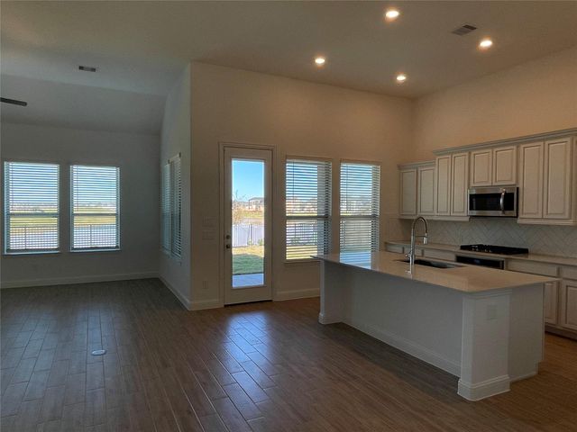 29806 Cherry Vine Road, Katy, TX 77494