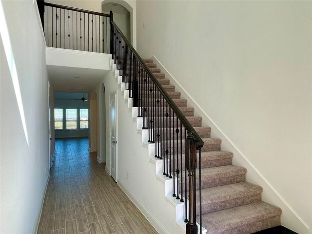 29806 Cherry Vine Road, Katy, TX 77494