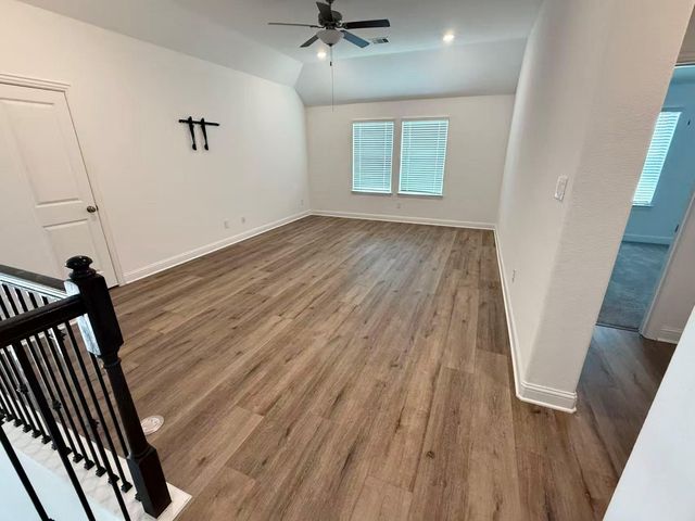 29806 Cherry Vine Road, Katy, TX 77494