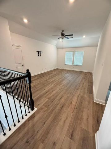 29806 Cherry Vine Road, Katy, TX 77494