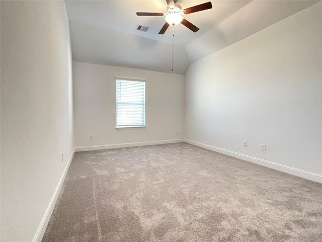 29806 Cherry Vine Road, Katy, TX 77494