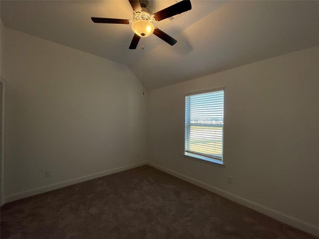 29806 Cherry Vine Road, Katy, TX 77494