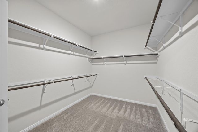 413 Windy Reed RD, Hutto, TX 78634