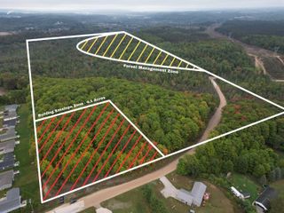 TBD Hoosier Valley Road, Blair Twp, MI 49685