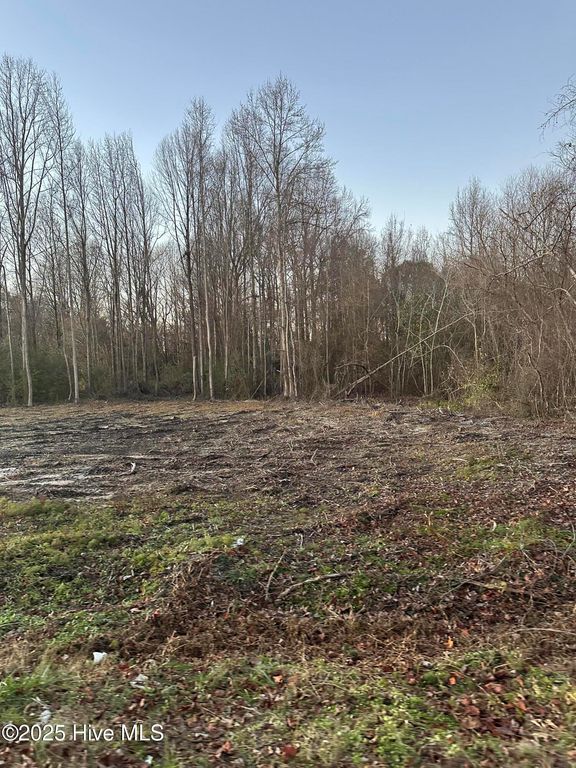 9585 Shallow Creek Trail, Bailey, NC 27807