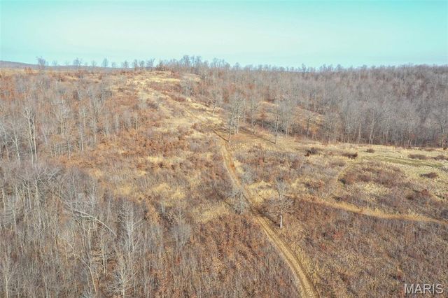 10331 Hopkins Road, Potosi, MO 63664