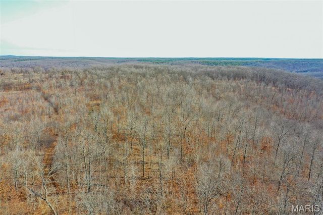 10331 Hopkins Road, Potosi, MO 63664