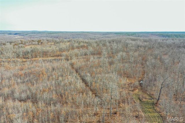 10331 Hopkins Road, Potosi, MO 63664