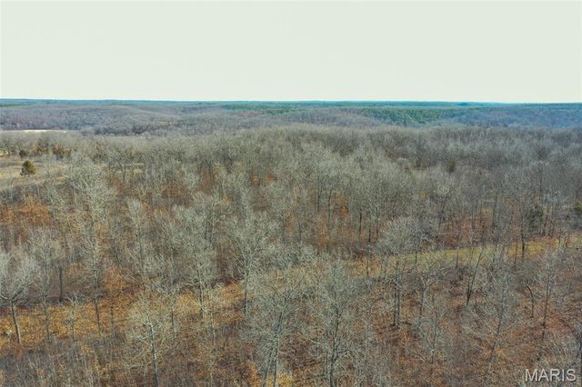 10331 Hopkins Road, Potosi, MO 63664