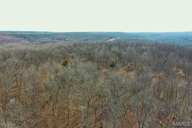 10331 Hopkins Road, Potosi, MO 63664