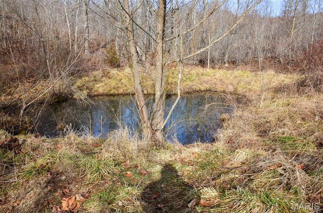 10331 Hopkins Road, Potosi, MO 63664