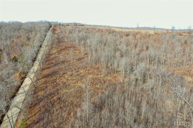 10331 Hopkins Road, Potosi, MO 63664