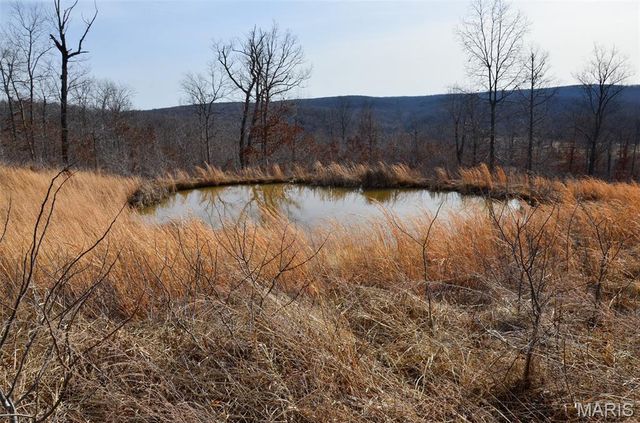 10331 Hopkins Road, Potosi, MO 63664