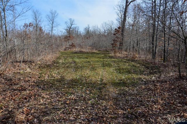 10331 Hopkins Road, Potosi, MO 63664