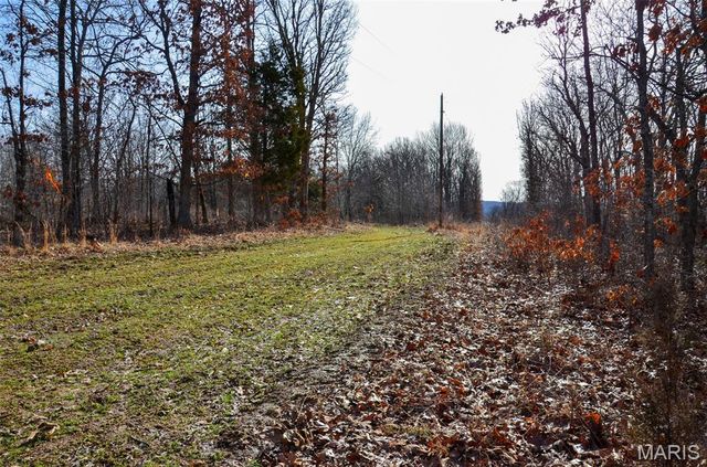 10331 Hopkins Road, Potosi, MO 63664