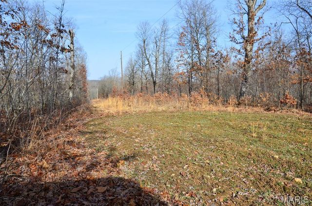 10331 Hopkins Road, Potosi, MO 63664