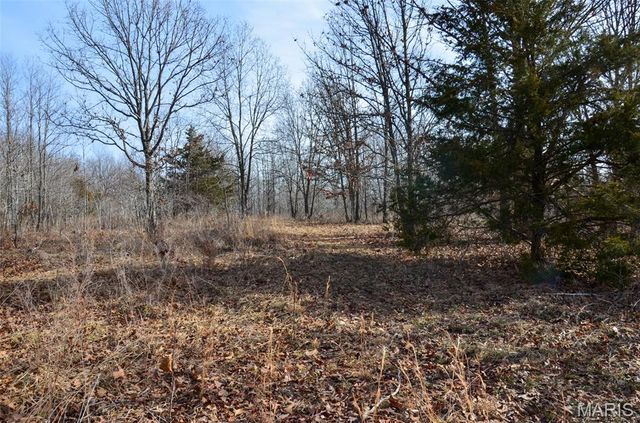 10331 Hopkins Road, Potosi, MO 63664