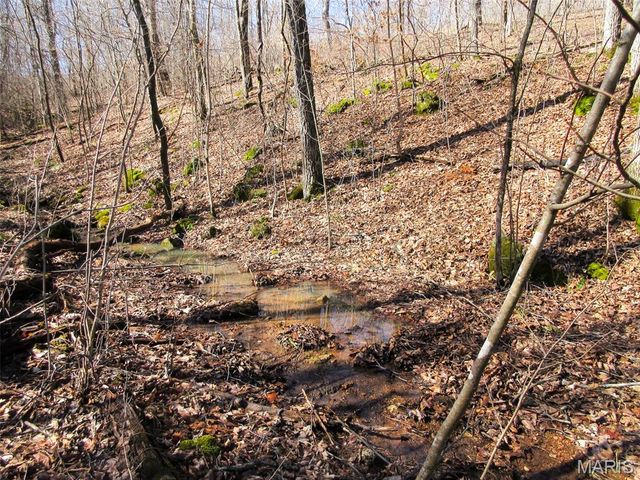 10331 Hopkins Road, Potosi, MO 63664