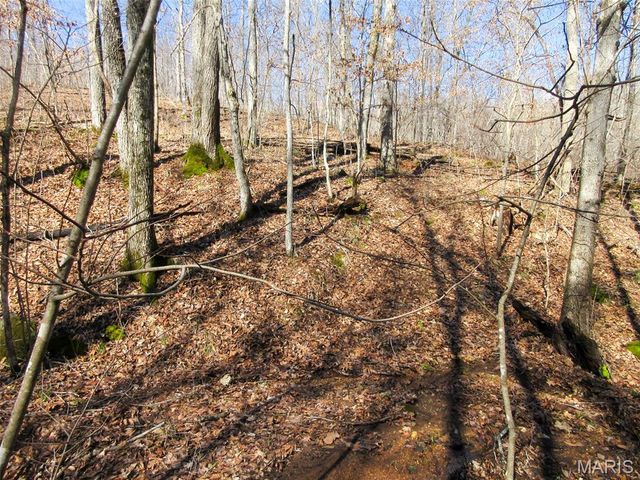 10331 Hopkins Road, Potosi, MO 63664