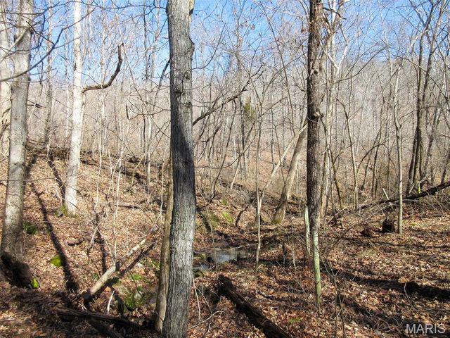 10331 Hopkins Road, Potosi, MO 63664