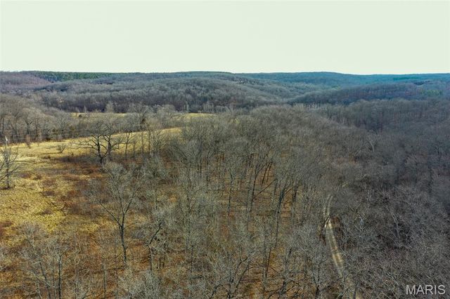 10331 Hopkins Road, Potosi, MO 63664