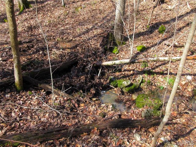 10331 Hopkins Road, Potosi, MO 63664