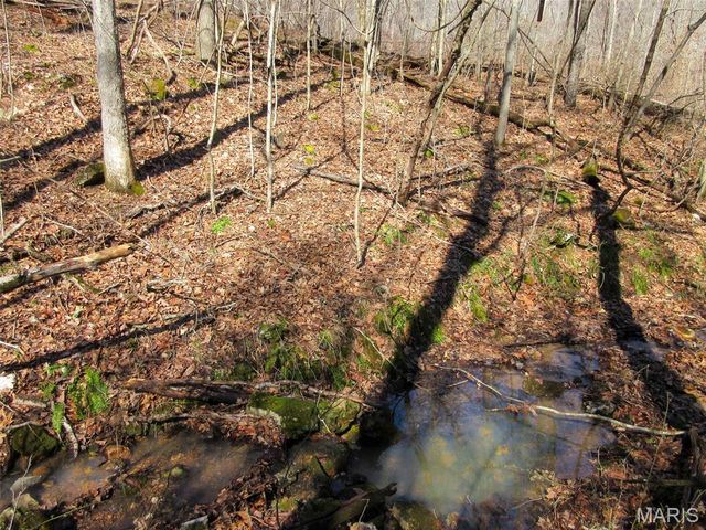 10331 Hopkins Road, Potosi, MO 63664