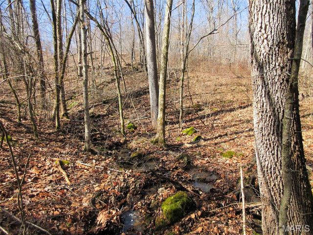 10331 Hopkins Road, Potosi, MO 63664