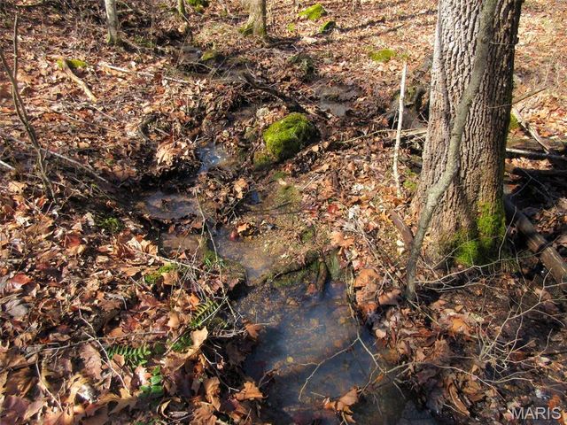 10331 Hopkins Road, Potosi, MO 63664