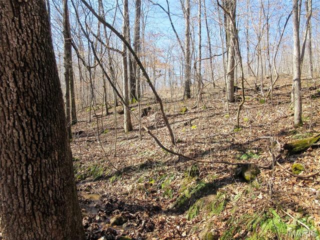 10331 Hopkins Road, Potosi, MO 63664