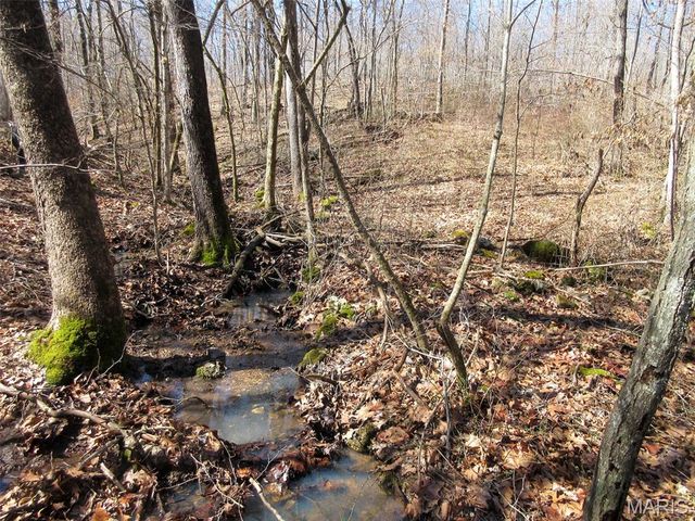 10331 Hopkins Road, Potosi, MO 63664