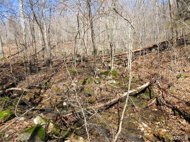 10331 Hopkins Road, Potosi, MO 63664