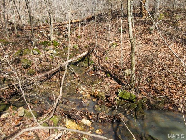 10331 Hopkins Road, Potosi, MO 63664