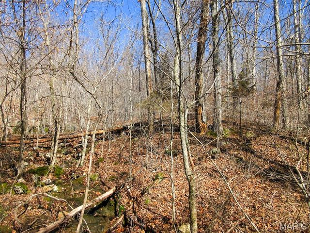 10331 Hopkins Road, Potosi, MO 63664