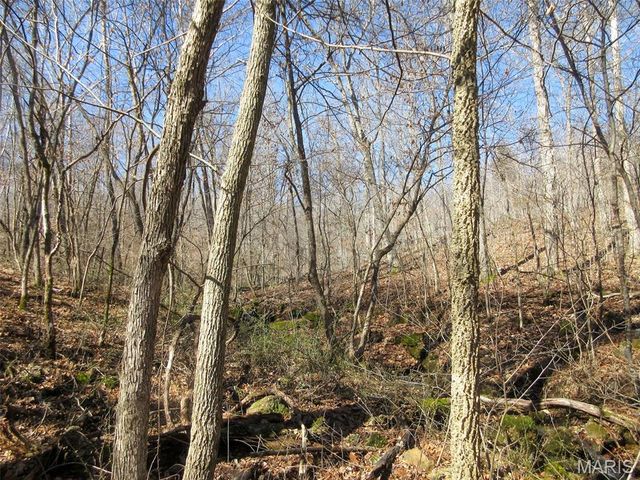 10331 Hopkins Road, Potosi, MO 63664