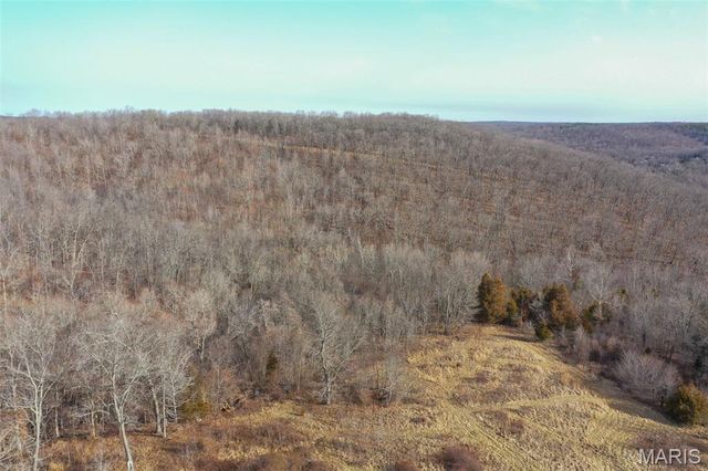 10331 Hopkins Road, Potosi, MO 63664